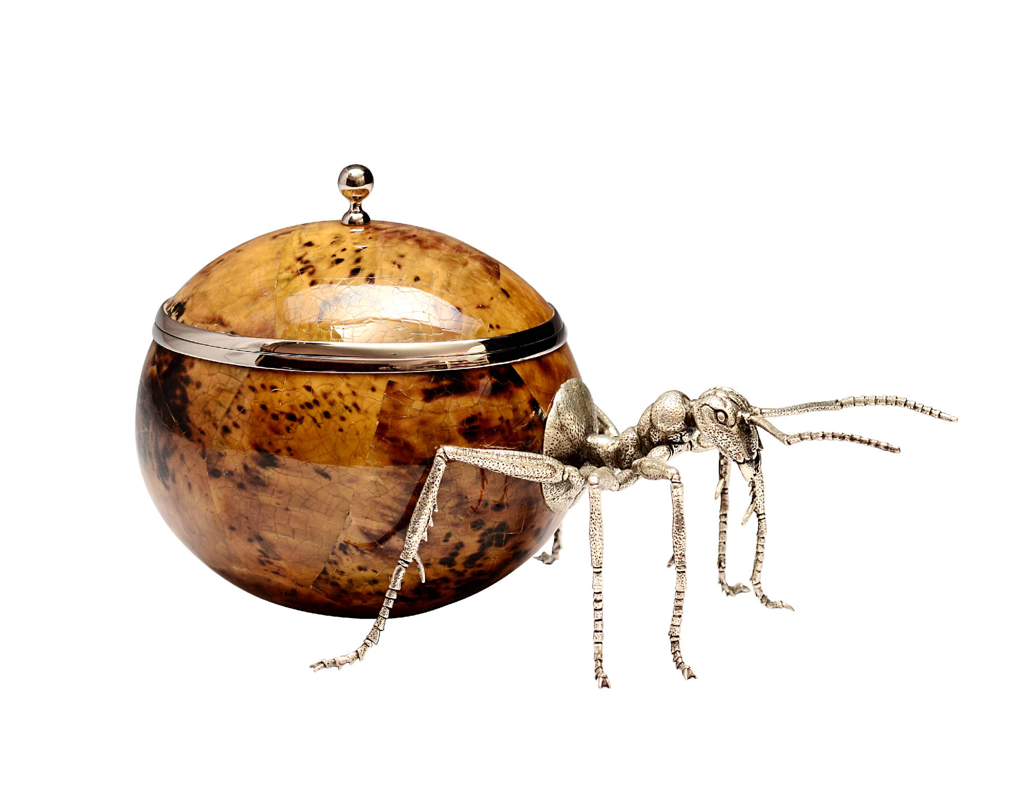 Ant trinket box with yellow tiger penshell body and nickel plated trim & ball handle