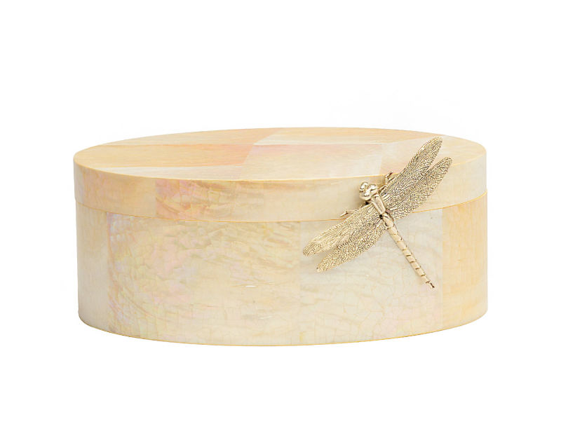 Kabibi shell oval box with silver plated dragonfly