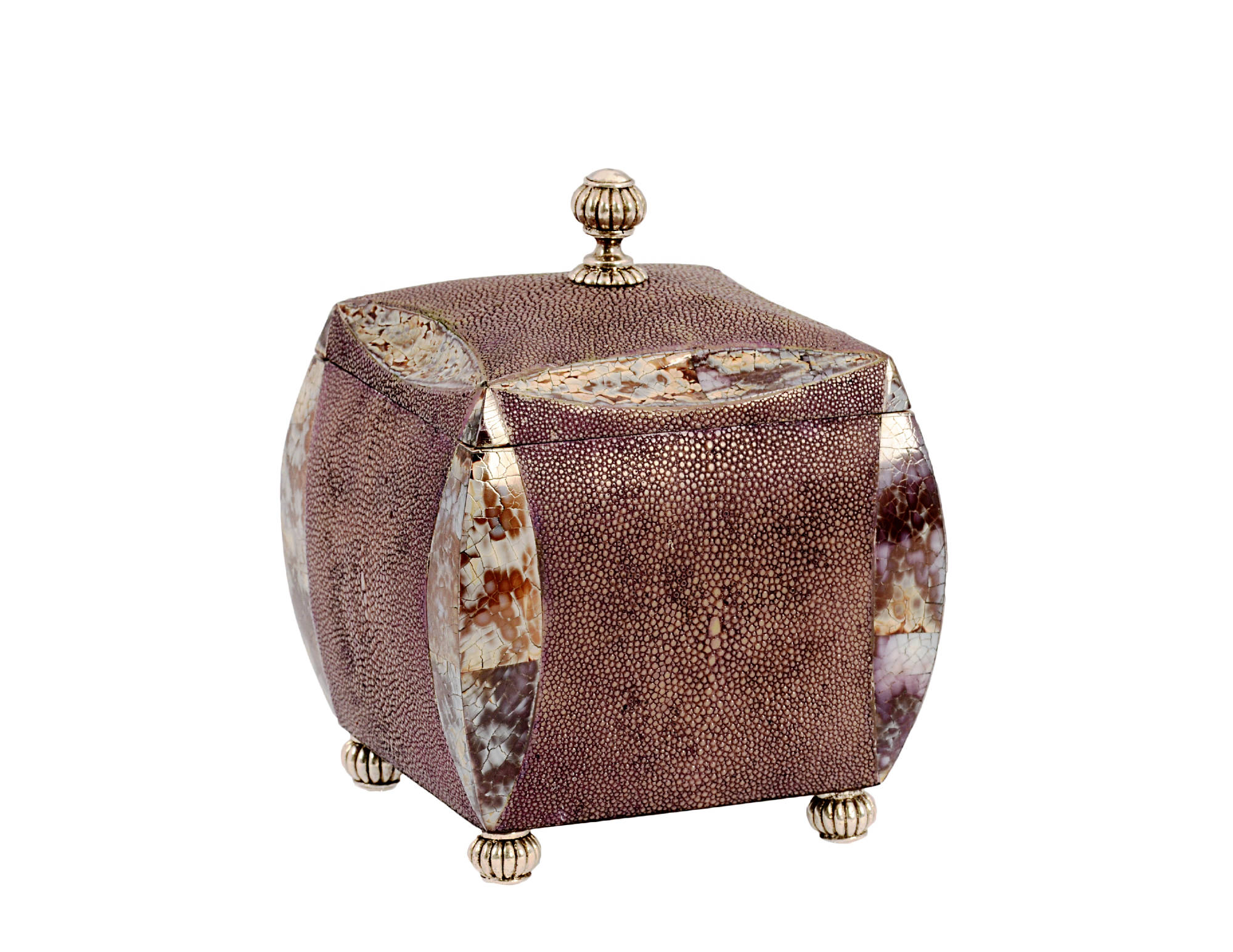 Dome Sq. box shagreen and tiger cowrie shell with silver plated handle & feet